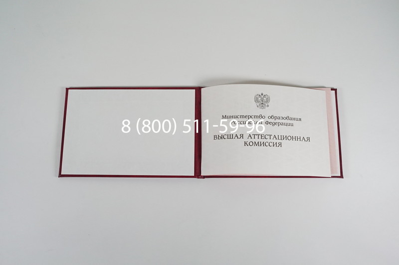 Диплом доктора наук 1995-2006 года в Симферополе Диплом доктора наук 1995-2006 года в Симферополе
